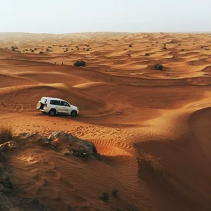 Desert Safari