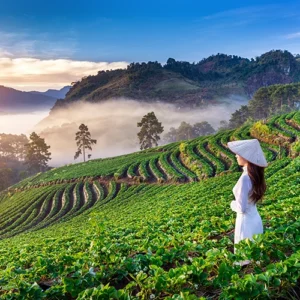 Vietnam Discovery